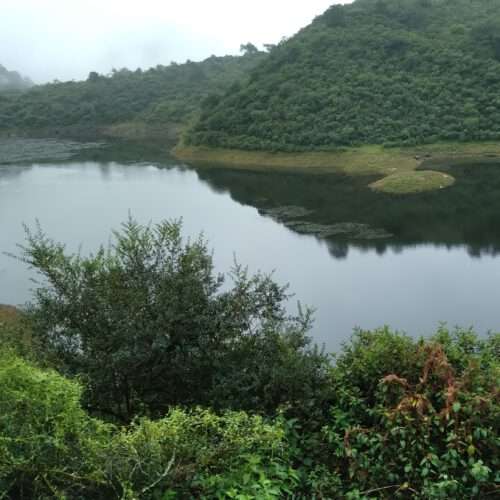 Turismo Rural Lagunas y paseo por las yungas