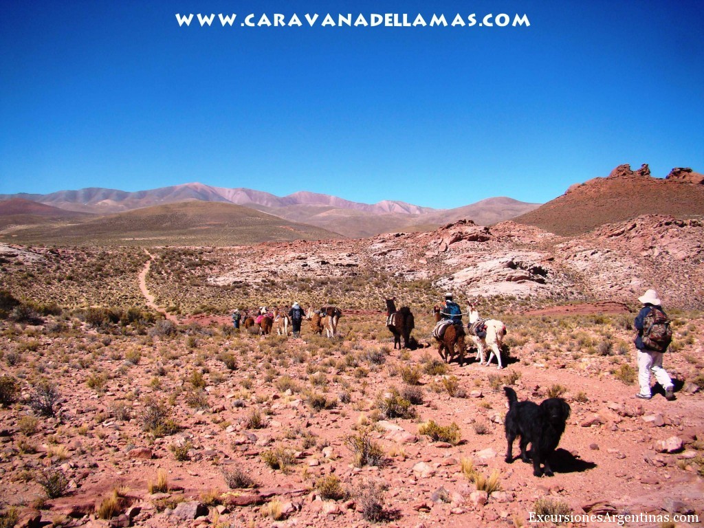 Trekking con llamas: Camino de la Sal (Salinas Grandes – Tilcara)
