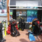 Buceo con lobos, bautismos y cursos