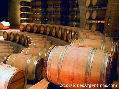 Wine Tour Privado en Mendoza