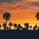 AVENTURA EN PARQUE NACIONAL EL PALMAR, ENTRE RIOS