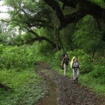 TREKKING en las YUNGAS. Circuito La Vaqueria