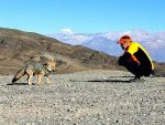 Trekking, ascenso y tour de alta montaña. Uspallata. Mendoza