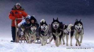 Ushuaia Aventura Blanca en Trineos