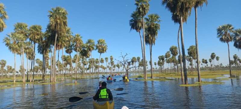 Bañado la Estrella Formosa a remo