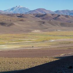 Excursión de SAFARI FOTOGRÁFICO EN CATAMARCA