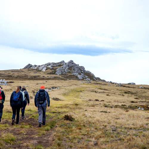 Viaje a ISLAS MALVINAS